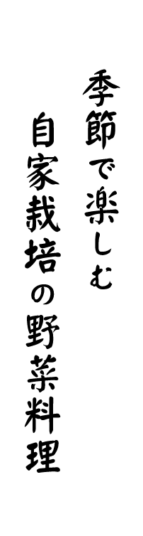 自家栽培の野菜料理