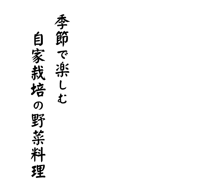 自家栽培の野菜料理